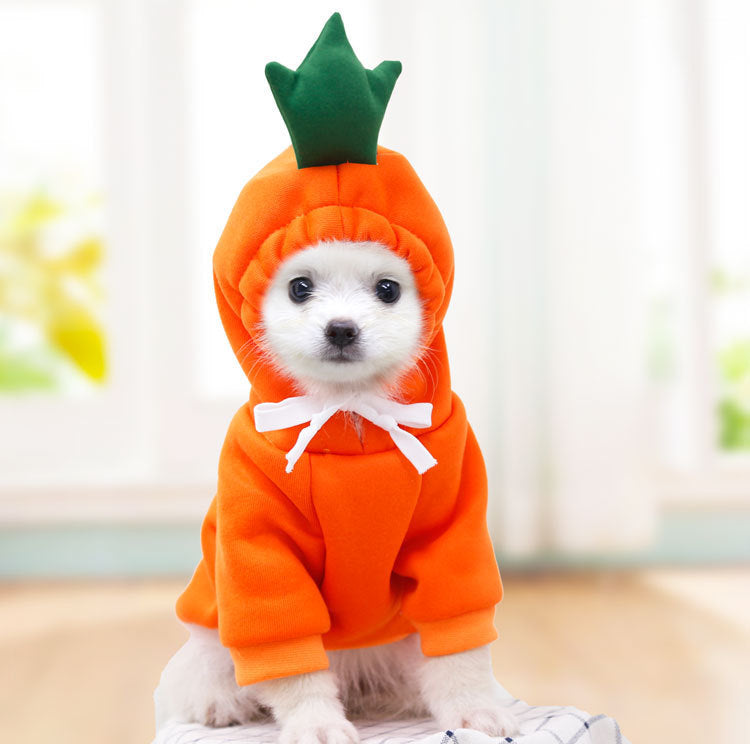 Fruit Hoodie for Small Dogs - Warm Fleece