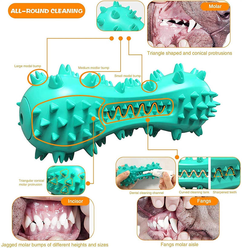 Dog Chew Toy - Rubber Molar Teeth Cleaner