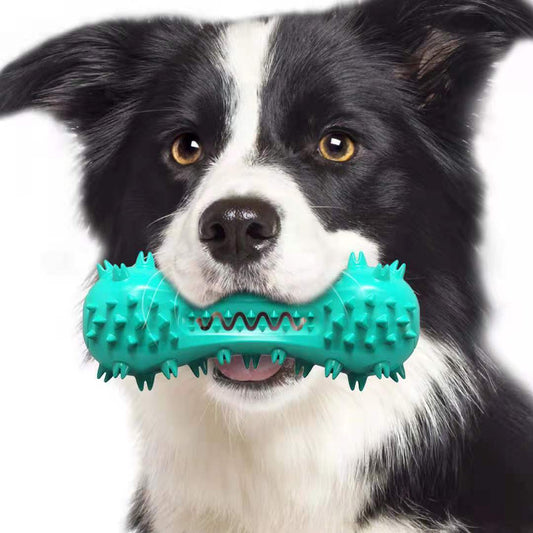 Dog Chew Toy - Rubber Molar Teeth Cleaner