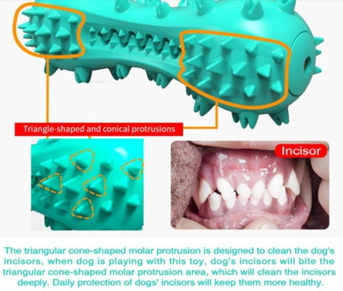 Dog Chew Toy - Rubber Molar Teeth Cleaner