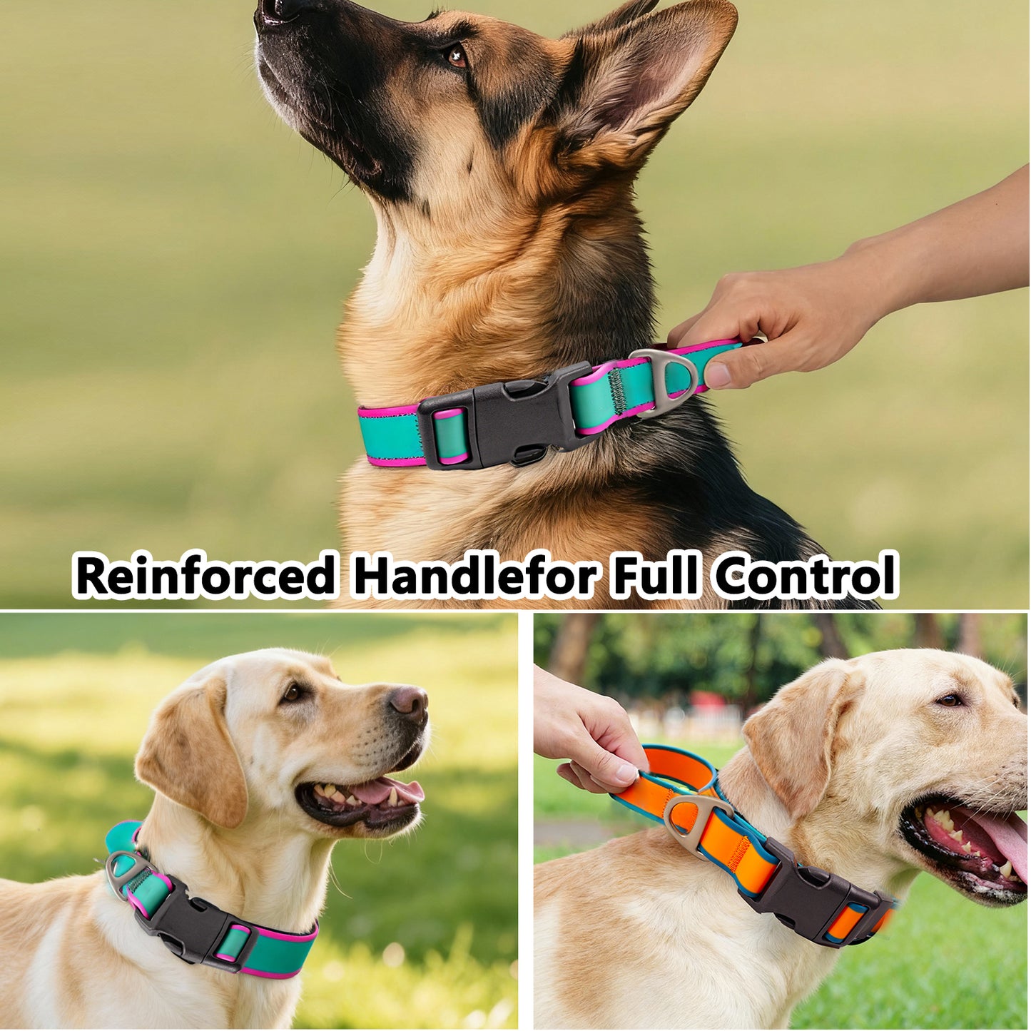 Tactical Dog Collar - Heavy Duty Control